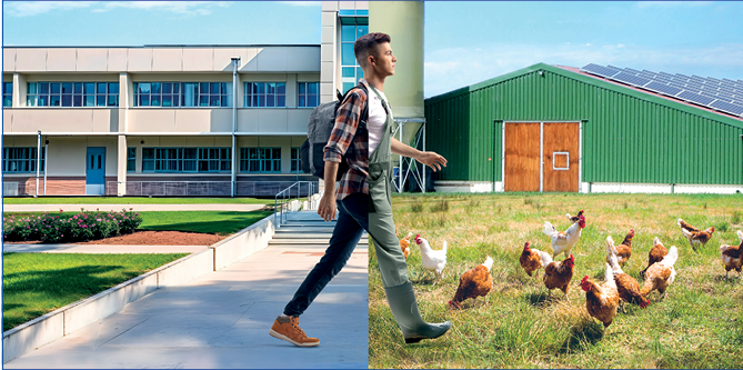 2026 Signature de mail Semaine Alternance-1